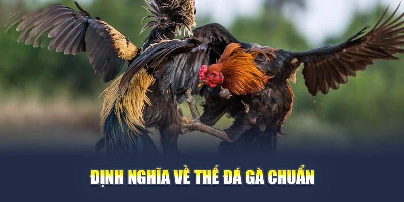 Định nghĩa về thế đá gà chuẩn